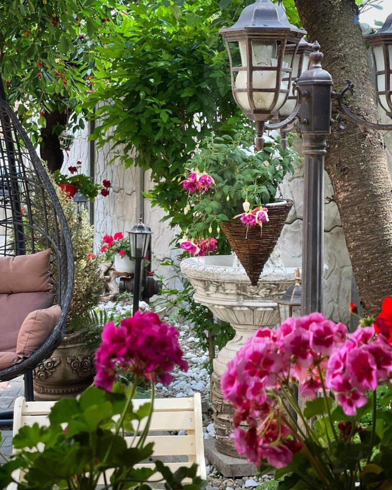 Casa Rosca Hotel Segesvár Kültér fotó