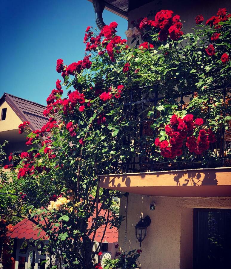 Casa Rosca Hotel Segesvár Kültér fotó