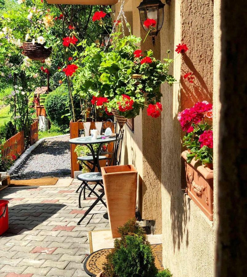 Casa Rosca Hotel Segesvár Kültér fotó