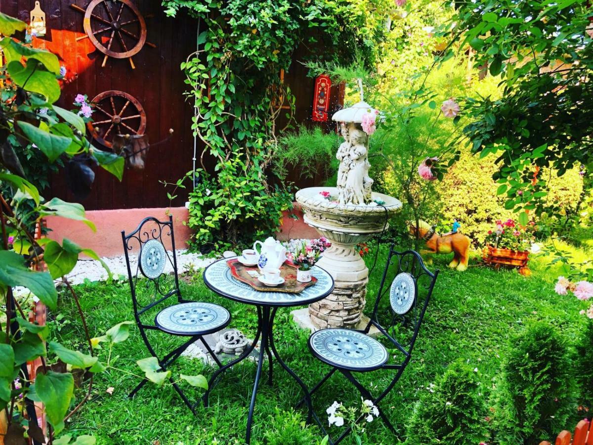 Casa Rosca Hotel Segesvár Kültér fotó